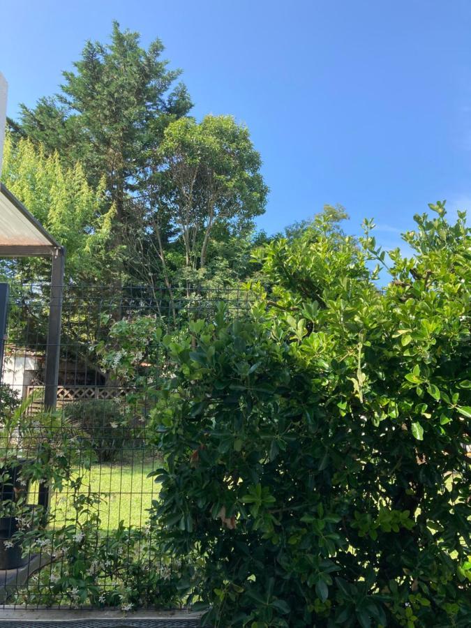 50 M2 T2 Au Calme, Lumineux, Confortable, Cosy, Climatise, Privatif Avec Parking Gratuit Et Terrasse Toulouse Exterior photo